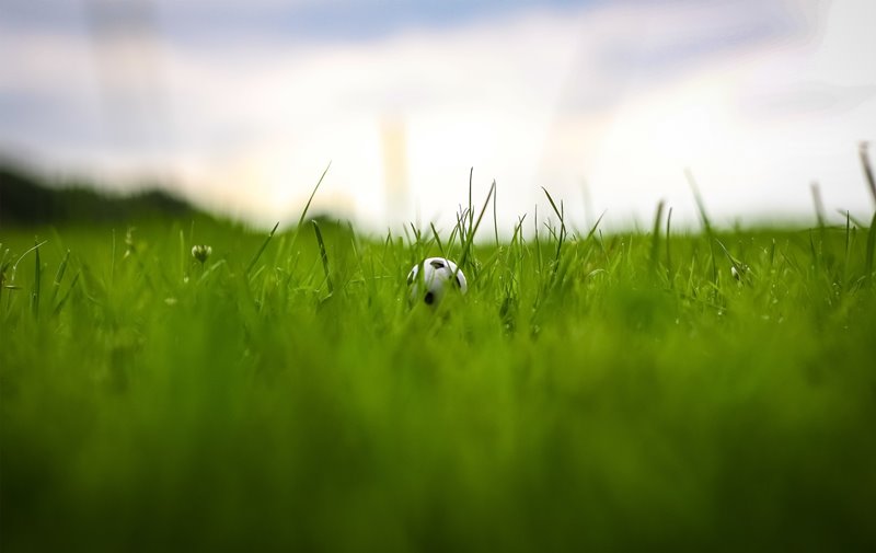 Fußball auf der grünen Wiese